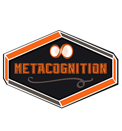 metacognition icon