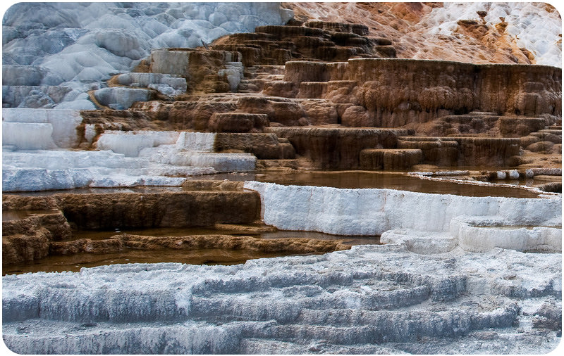 This is Mammoth Hot Springs in Yellowstone National Park