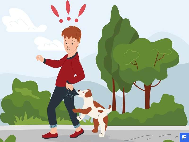 Dog biting walker
