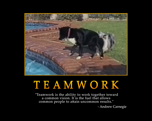teamwork 